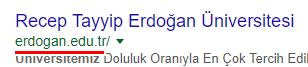 fireshot-capture-33---erdogan-universitesi---googleda-ara_---https___www.google.com.tr_search.png